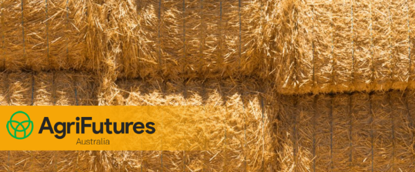 Bales of hay with AgriFutures logo superimposed.