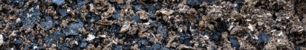 Pieces of biochar mixed into soil. 