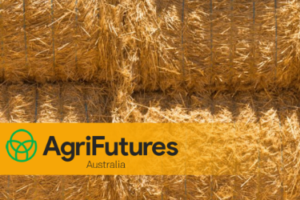 Tight shot of bales of hay with AgriFutures logo superimposed
