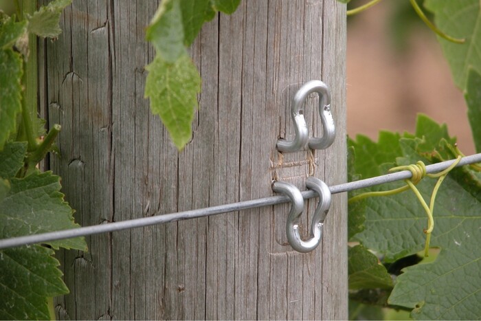 Tuckaway staples holding wire on a post in a local vineyard.